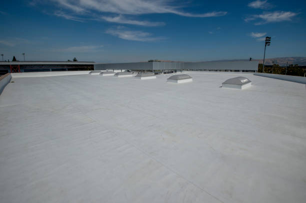 Best Cold Roofs  in Hargill, TX