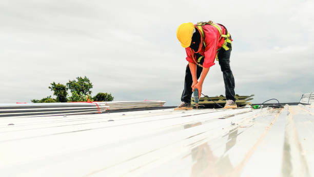 Best Asphalt Shingle Roofing  in Hargill, TX