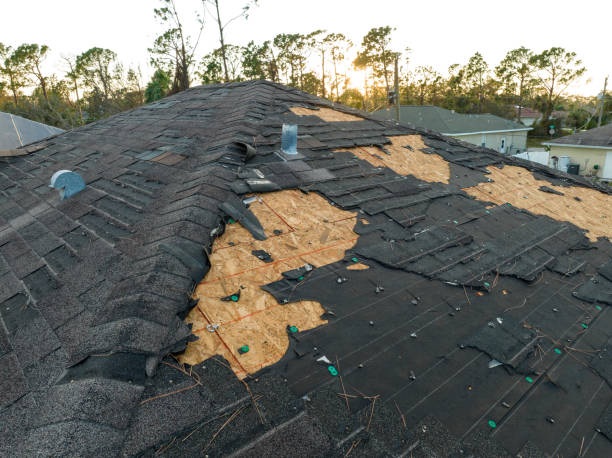 Best Gutter Installation and Repair  in Hargill, TX