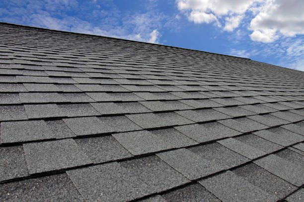 Best Roof Moss and Algae Removal  in Hargill, TX